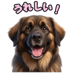 Leonberger LINE Stickers 236
