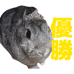 bananakun_20260501155148