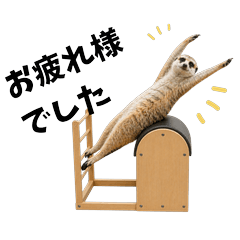 Pilates Mee