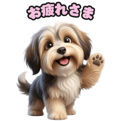 Havanese LINE Stickers 237