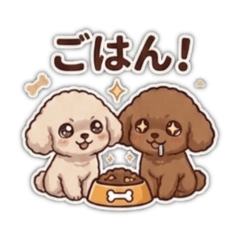 Lapimoko_20260501155902