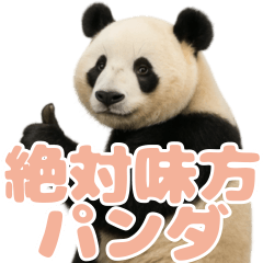 Friendly Panda : 08 Apricot Coral