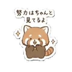 Gentle Red Panda Days