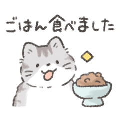 Taking care of a cute cat