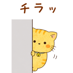 Somehow Funny Lazy Cat