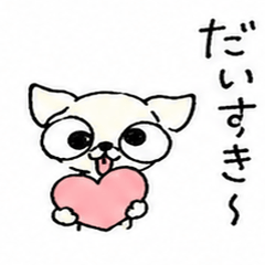 Chihuahua Daily Stickers - White