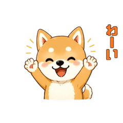Cute Shiba Inu Stickers Emotions 2026