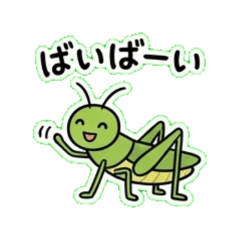 Heartwarming insect LINE stickers