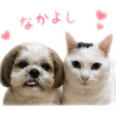 kuro_20260501163901