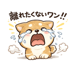 RINRIN_20260501170631