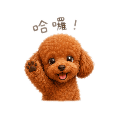 Bobe貴賓