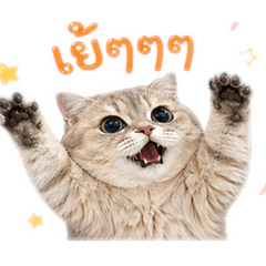 Giff_20260430235920