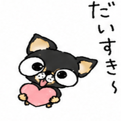 Cute Black Chihuahua Sticker