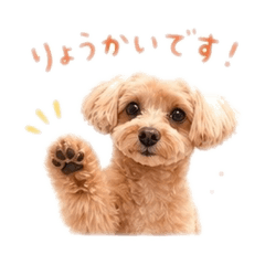 Jiwoo_20260501173916
