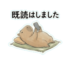 Casual Reply Capybara