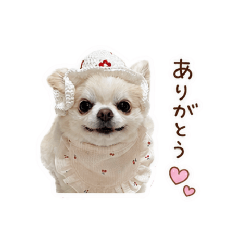 mamii_20260502220857