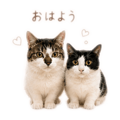 neko to otto no kurashi_20260502220828