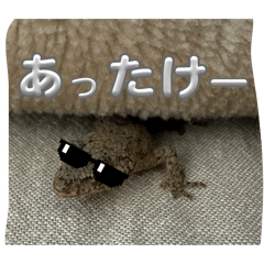 ENZO_20260502220505