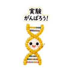Beaded DNA: Science & Daily Life