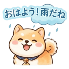 Lucky the Mameshiba: Rainy Season