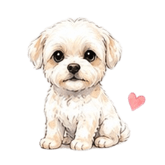 Title: Gentle White Dog Stickers