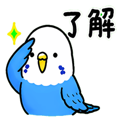 Cute Blue Budgie: Daily Slang(Japanese)