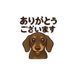 myu_20260501184010