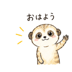 Neat Meerkat & Lazy Raccoon