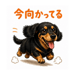 Common Dachshund Traits Part 2