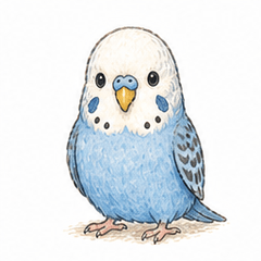 Budgie's Daily Stickers.