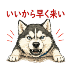 Siberian Husky  Sassy Stickers NanoLife