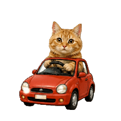 "Tabby rides everything 1