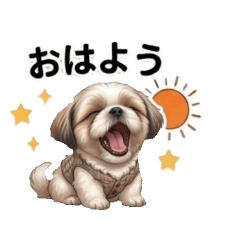 sumomochan52