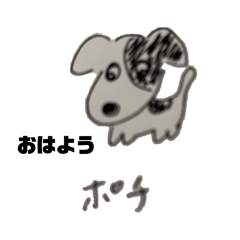 pochi inu