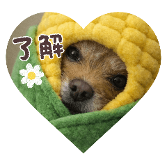 mayu_20260502221602