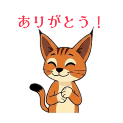 mamaki_20260502222012