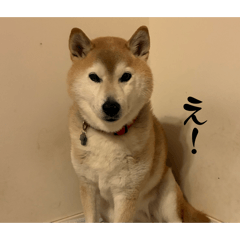 KEKE_20260502221322