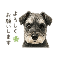 kenshiro_20260502222319