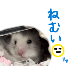 nemui_20260502222150