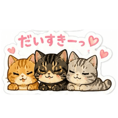 cat.sasami