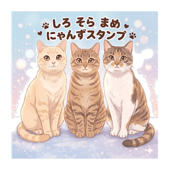 Shiro Sora Mame Nyanzu Stickers