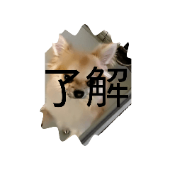 abc_20260501193405