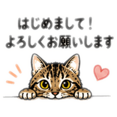 maru:ri_20260501195145