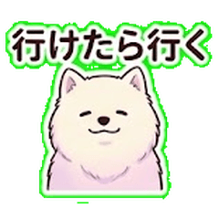 Sassy Samoyed: Osaka Real Talk