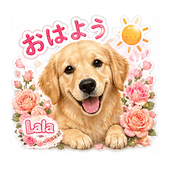 Lala Golden Retriever Stickers