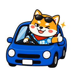 Driving Status Stickers