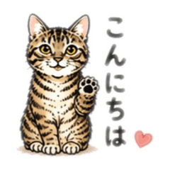 maru:ri_20260501202018