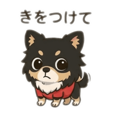 kumacha_20260501202822