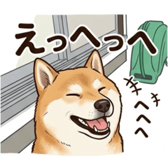 SHIBA JIN