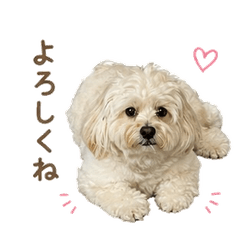 Fluffy ROKU 1